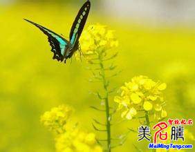 怎樣給自己起網(wǎng)名？