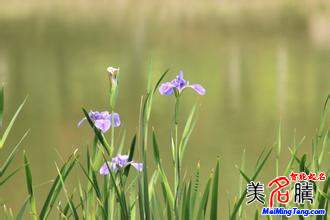 你見過(guò)哪些奇葩的WIFI名字？